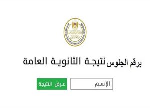 نتيجتك الآن من هنا.. رابط نتيجة الثانوية العامة 2025 الرسمي 13 2729134 0