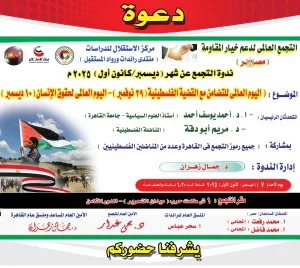 ندوة للتضامن مع فلسطين في القاهرة 7 ديسمبر 2 ندوة التضامن مع فلسطين