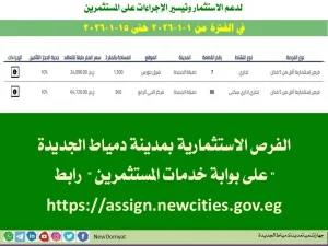 أهم الفرص الاستثمارية الجديدة بمدينة دمياط الجديدة